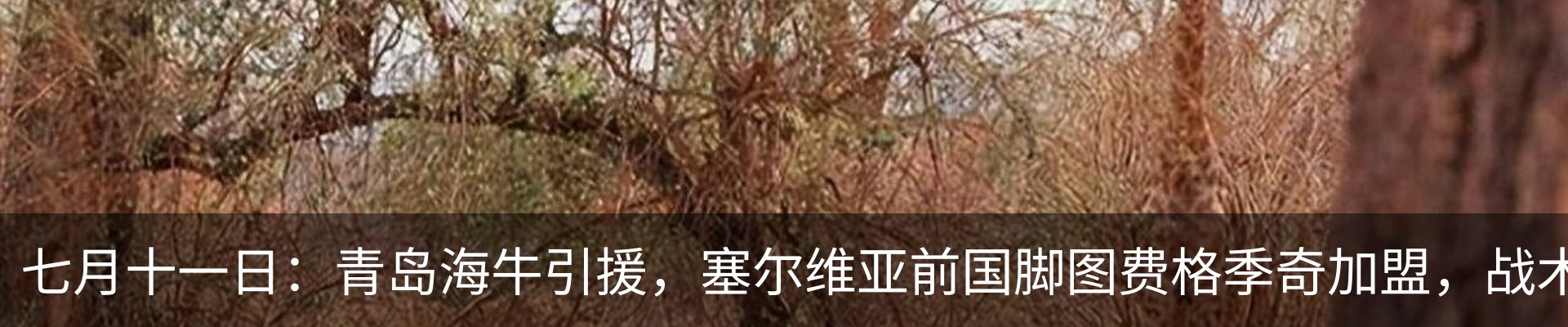 资讯动态
