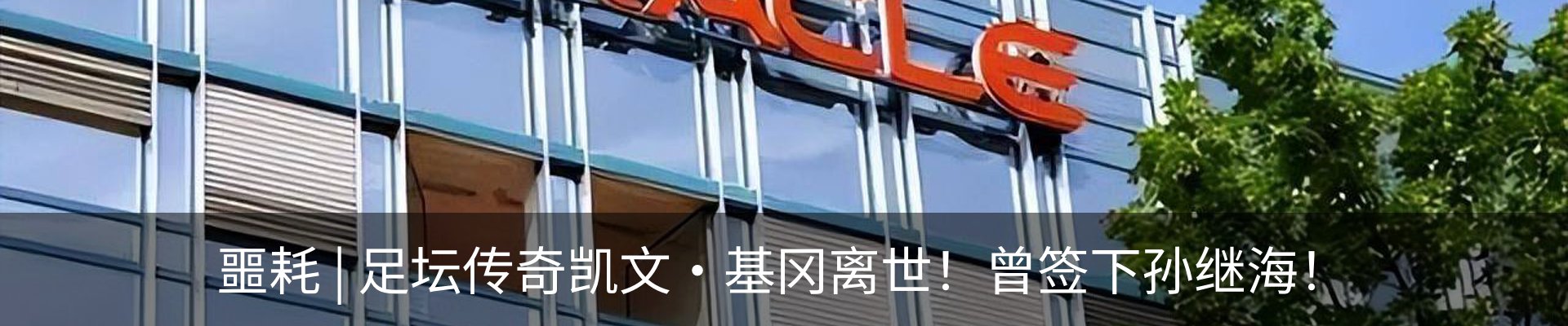 资讯动态