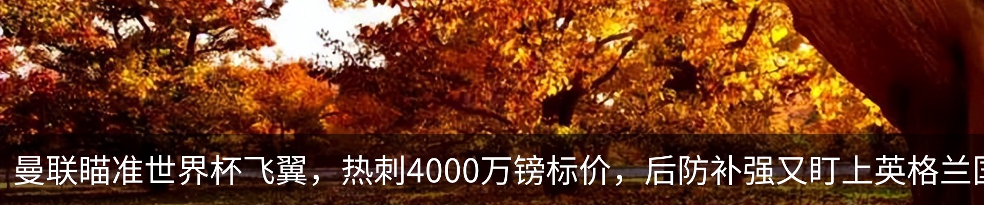 资讯动态