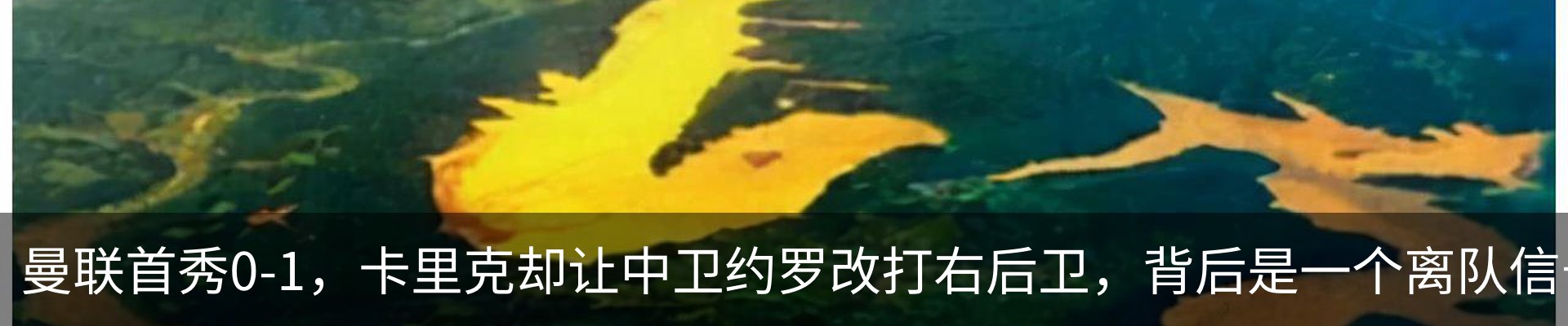 资讯动态